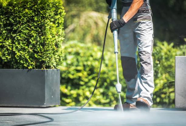 Professional Pressure Washing Services in Dasher, GA