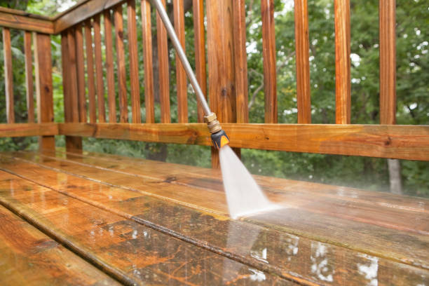 Best Soft Washing  in Dasher, GA